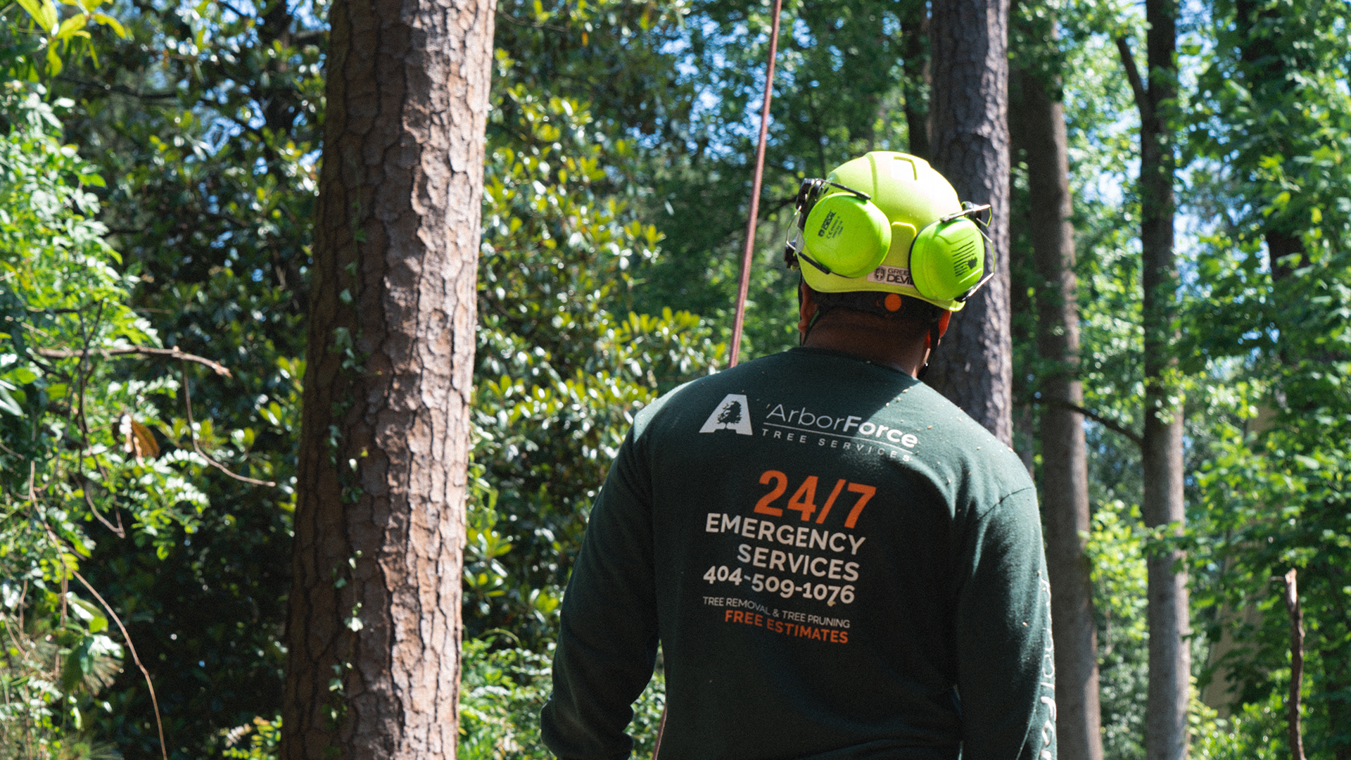 ArborForce staff standing in front of multiple trees