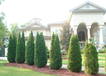 distant view of well manicured bushes in front of a large house