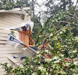 tree damage in atlanta