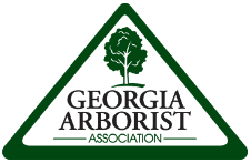 Georgia Arborists