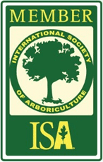 ISA Member