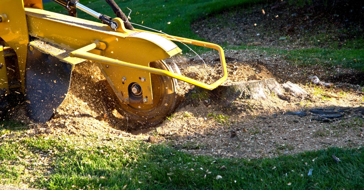 stump grinding