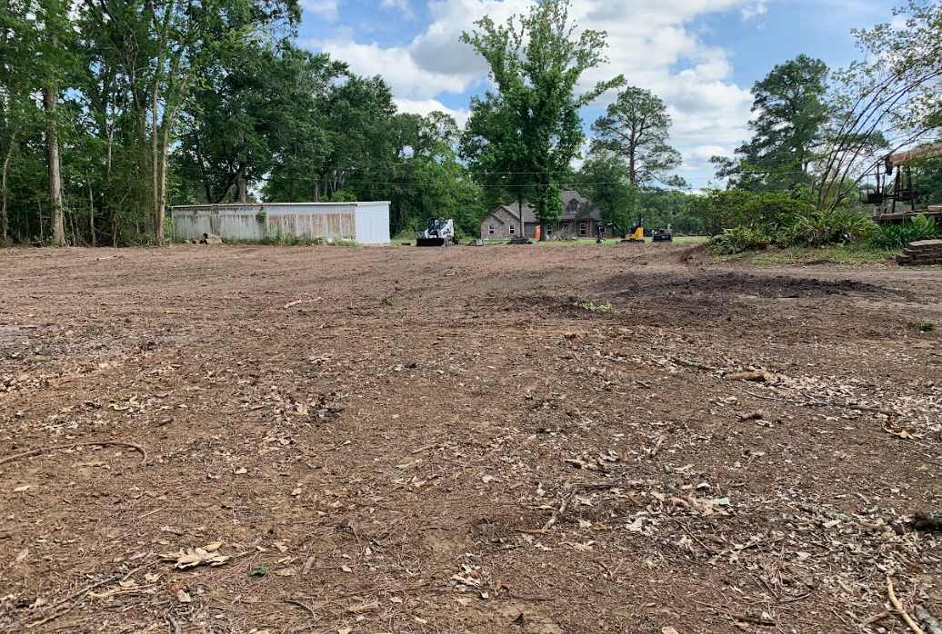 Explore ArborForce Tree Services